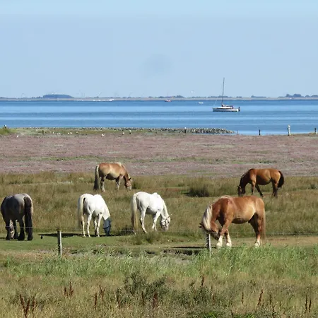 Haus Stuerhus 191 - 1 Juist